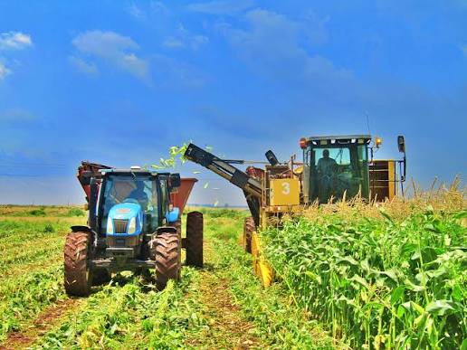 Agriculture